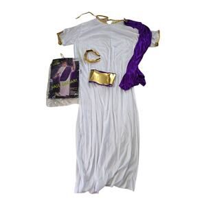 Hail Caesar Halloween Costume Adult SZ XL Fits up to 220Lbs Egyptian Greek Toga